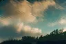 Gallery thumbnail 20